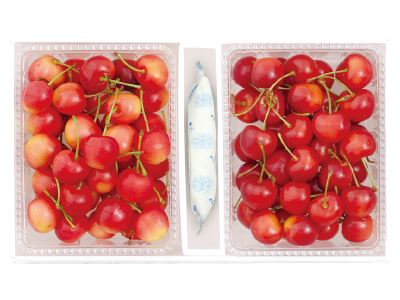 D:さくらんぼ2色Cセットバラ詰め(南陽&紅秀峰)ご自宅用(1kg)